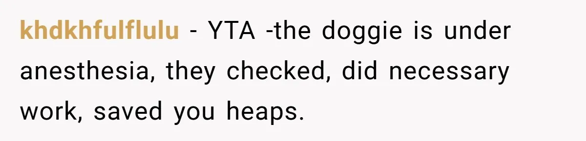 Dog Owner Upset After Vet Removes Puppy’s Teeth During Neutering Without Consent khdkhfulflulu − YTA -the doggie is under anesthesia, they checked, did necessary work, saved you heaps.