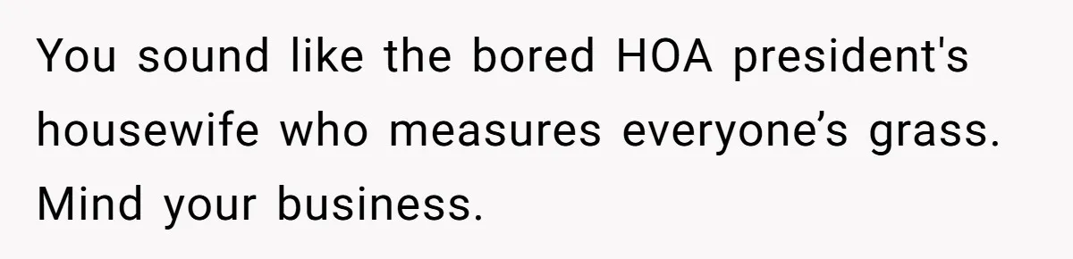 You sound like the bored HOA president's housewife who measures everyone’s grass. Mind your business.