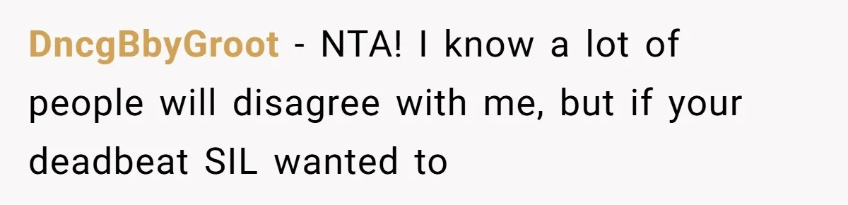 DncgBbyGroot − NTA! I know a lot of people will disagree with me, but if your deadbeat SIL wanted to