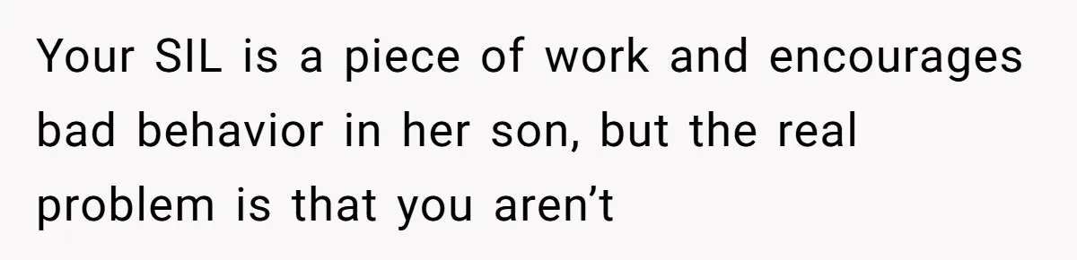 Your SIL is a piece of work and encourages bad behavior in her son, but the real problem is that you aren’t