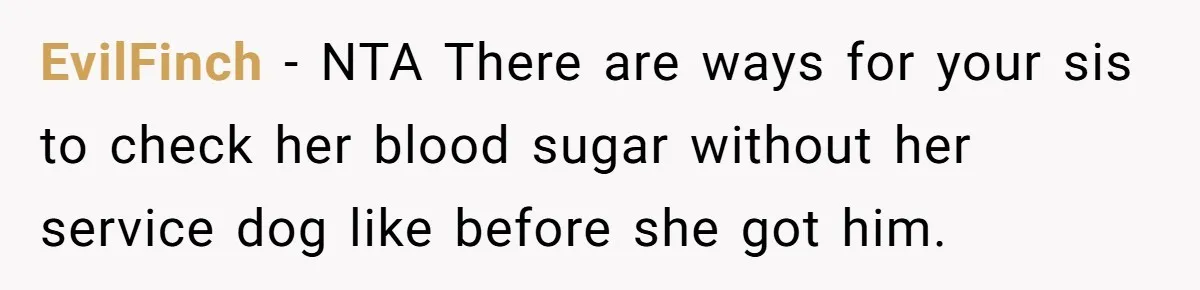EvilFinch − NTA There are ways for your sis to check her blood sugar without her service dog like before she got him.