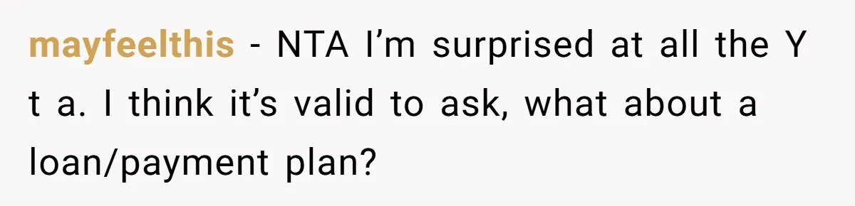 mayfeelthis − NTA I’m surprised at all the Y t a. I think it’s valid to ask, what about a loan/payment plan?