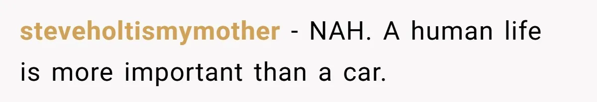 steveholtismymother − NAH. A human life is more important than a car.