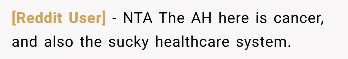 [Reddit User] − NTA The AH here is cancer, and also the sucky healthcare system.