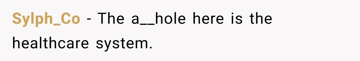 Sylph_Co − The a__hole here is the healthcare system.
