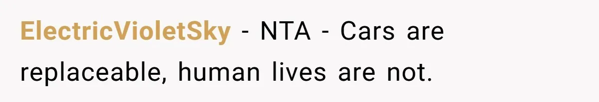 ElectricVioletSky − NTA - Cars are replaceable, human lives are not.