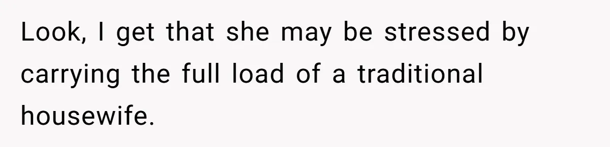 Look, I get that she may be stressed by carrying the full load of a traditional housewife.