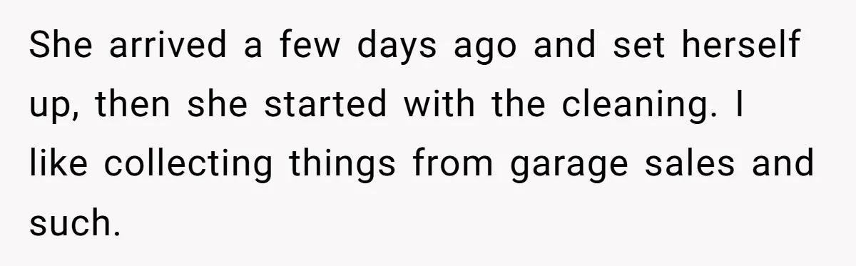 Woman Kicks Out Her Mother-In-Law After She “Tidies” The House A Little Too Much She arrived a few days ago and set herself up, then she started with the cleaning. I like collecting things from garage sales and such.