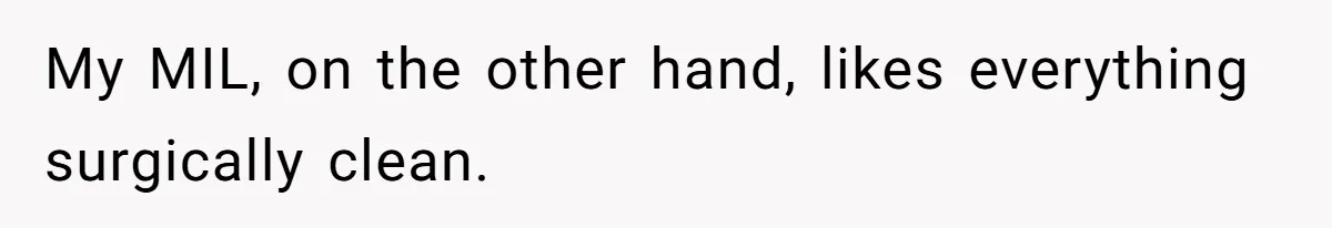 Woman Kicks Out Her Mother-In-Law After She “Tidies” The House A Little Too Much My MIL, on the other hand, likes everything surgically clean.