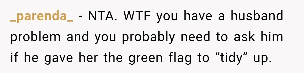 Woman Kicks Out Her Mother-In-Law After She “Tidies” The House A Little Too Much _parenda_ − NTA. WTF you have a husband problem and you probably need to ask him if he gave her the green flag to “tidy” up.