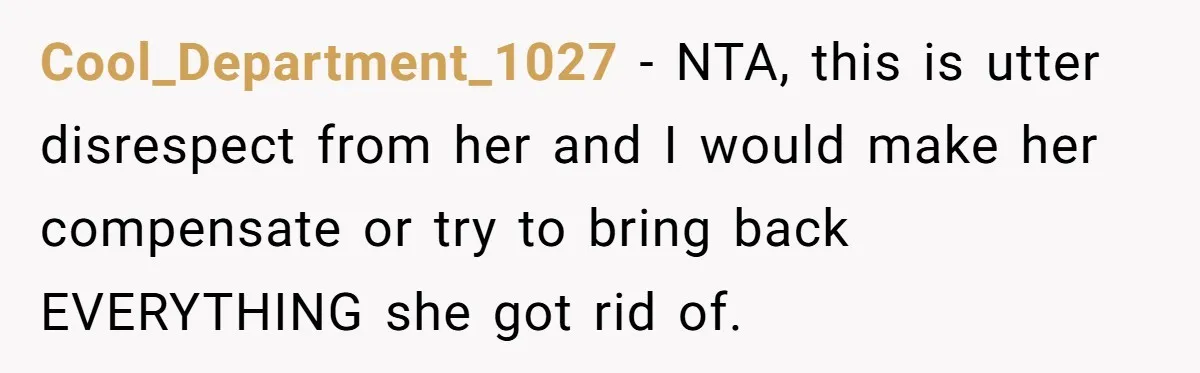 Woman Kicks Out Her Mother-In-Law After She “Tidies” The House A Little Too Much Cool_Department_1027 − NTA, this is utter disrespect from her and I would make her compensate or try to bring back EVERYTHING she got rid of.