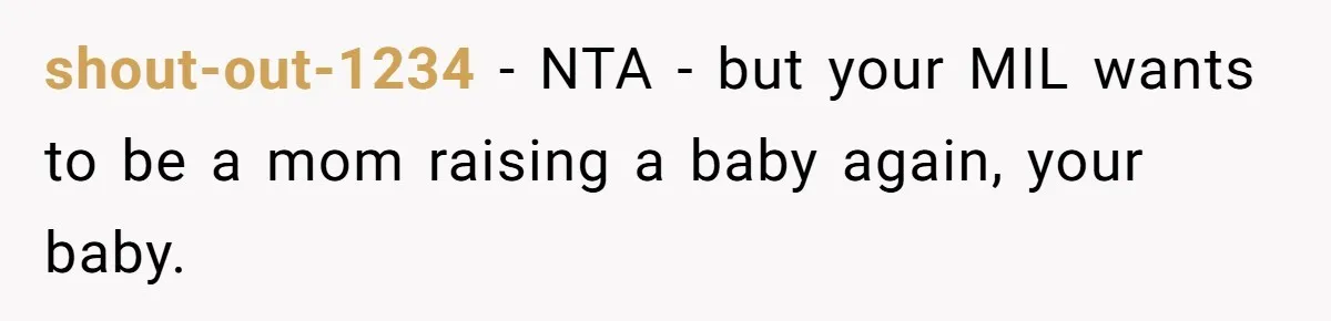 Woman Kicks Out Her Mother-In-Law After She “Tidies” The House A Little Too Much shout-out-1234 − NTA - but your MIL wants to be a mom raising a baby again, your baby.