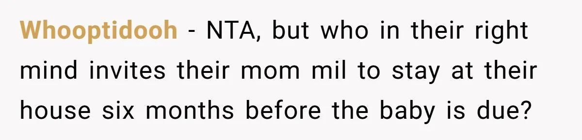 Woman Kicks Out Her Mother-In-Law After She “Tidies” The House A Little Too Much Whooptidooh − NTA, but who in their right mind invites their mom mil to stay at their house six months before the baby is due?