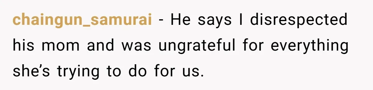 Woman Kicks Out Her Mother-In-Law After She “Tidies” The House A Little Too Much chaingun_samurai − He says I disrespected his mom and was ungrateful for everything she’s trying to do for us.