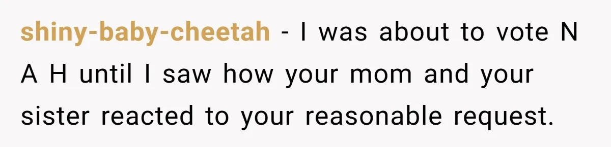 Man Can’t Believe His Family Calls Him Heartless For Choosing His Allergic Bride Over A Dog shiny-baby-cheetah − I was about to vote N A H until I saw how your mom and your sister reacted to your reasonable request.