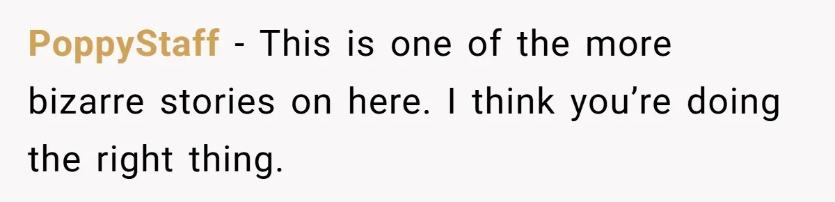 Young Mom Refuses In-Laws’ Help After A Fall Exposes A Chilling Priority PoppyStaff − This is one of the more bizarre stories on here. I think you’re doing the right thing.