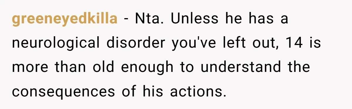greeneyedkilla − Nta. Unless he has a neurological disorder you've left out, 14 is more than old enough to understand the consequences of his actions.