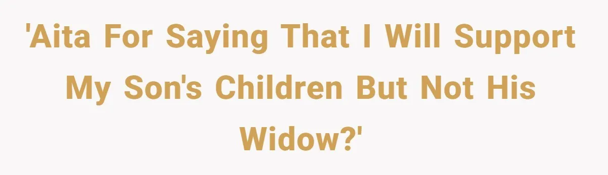 'AITA for saying that I will support my son's children but not his widow?'