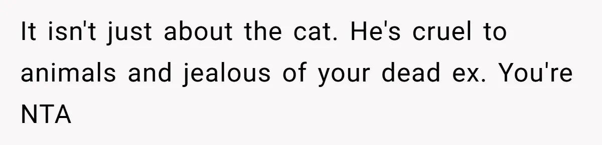 It isn't just about the cat. He's cruel to animals and jealous of your dead ex. You're NTA
