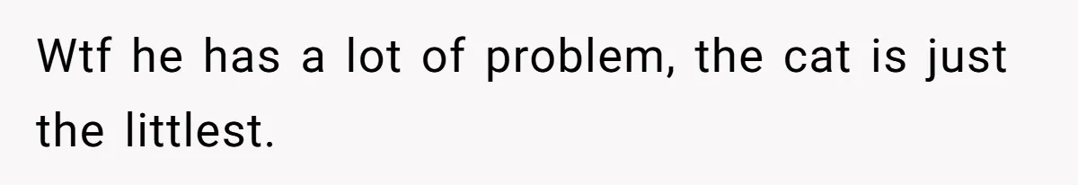 Wtf he has a lot of problem, the cat is just the littlest.