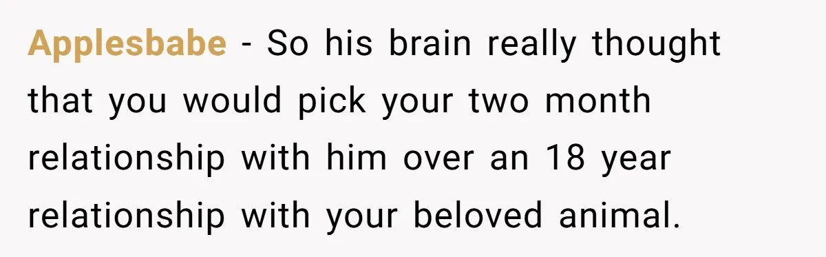 Applesbabe − So his brain really thought that you would pick your two month relationship with him over an 18 year relationship with your beloved animal.