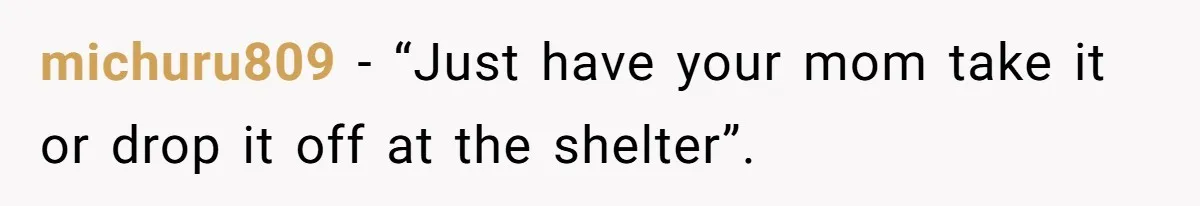 michuru809 − “Just have your mom take it or drop it off at the shelter”.