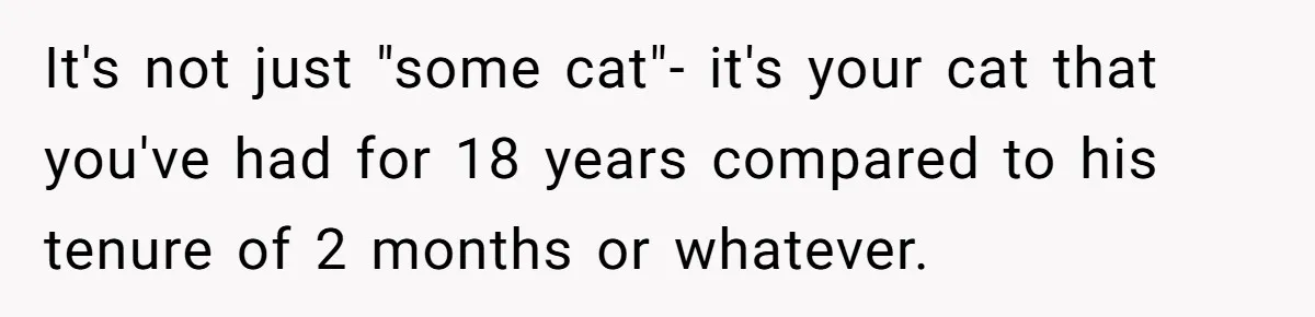 It's not just "some cat"- it's your cat that you've had for 18 years compared to his tenure of 2 months or whatever.