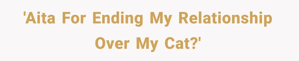 'AITA for ending my relationship over my cat?'