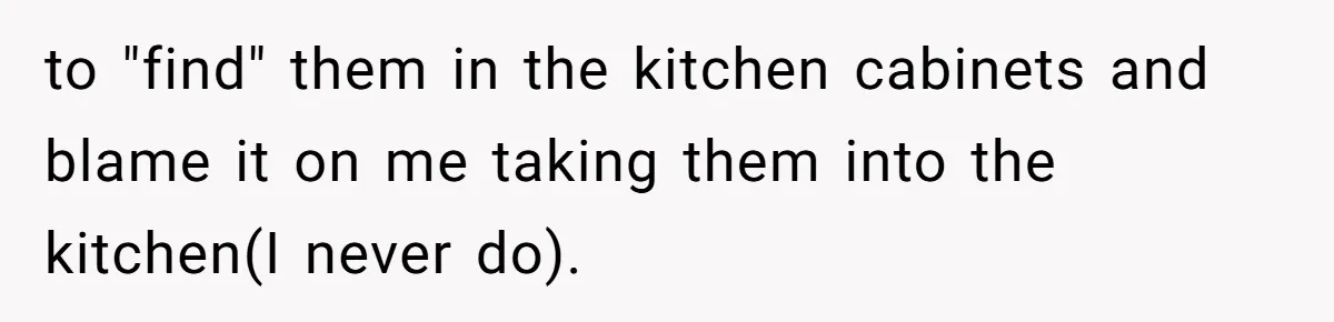 to "find" them in the kitchen cabinets and blame it on me taking them into the kitchen(I never do).