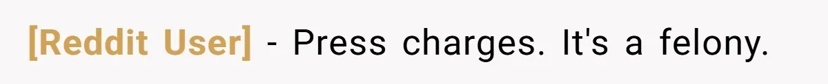 [Reddit User] − Press charges. It's a felony.
