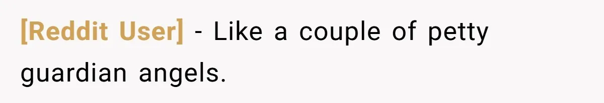 [Reddit User] − Like a couple of petty guardian angels.