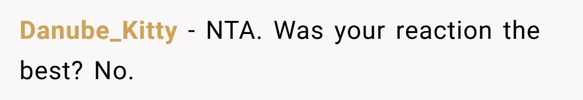Danube_Kitty − NTA. Was your reaction the best? No.