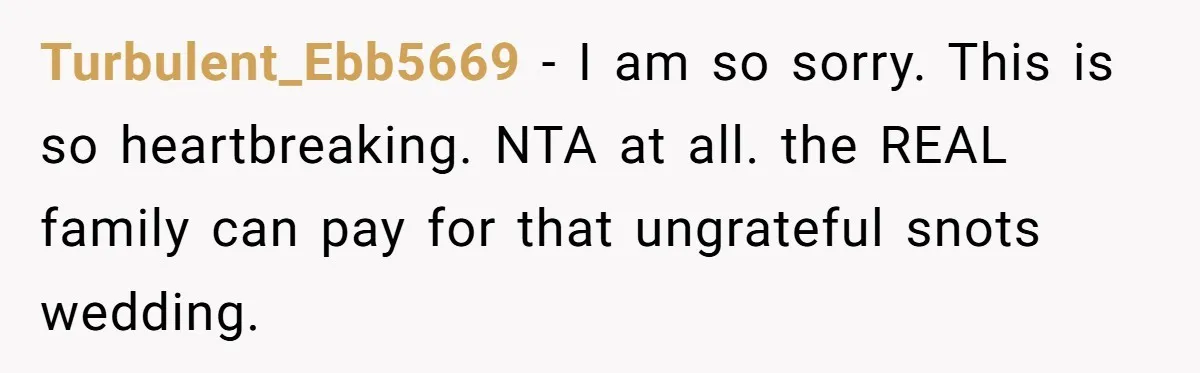 Turbulent_Ebb5669 − I am so sorry. This is so heartbreaking. NTA at all. the REAL family can pay for that ungrateful snots wedding.