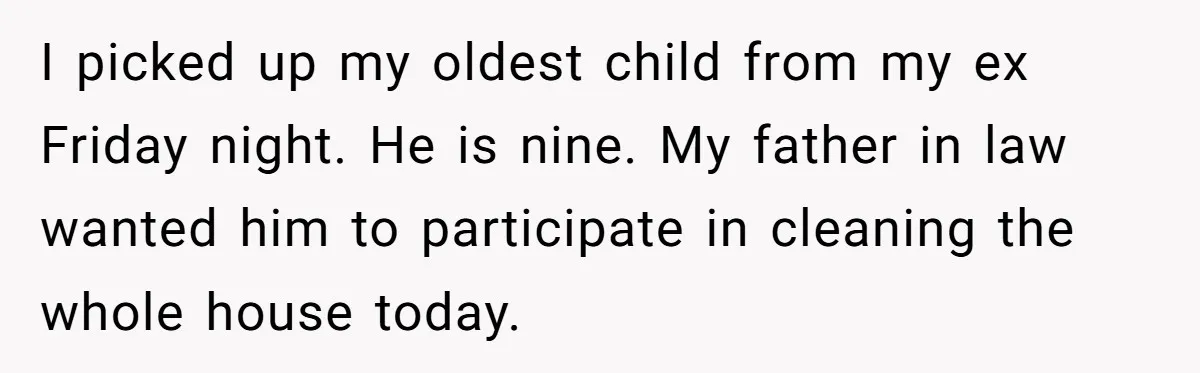 I picked up my oldest child from my ex Friday night. He is nine. My father in law wanted him to participate in cleaning the whole house today.