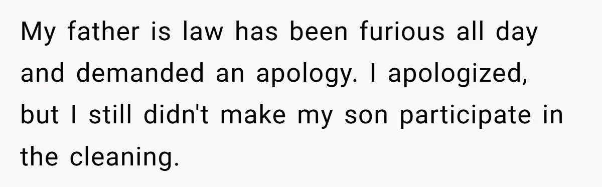 My father is law has been furious all day and demanded an apology. I apologized, but I still didn't make my son participate in the cleaning.
