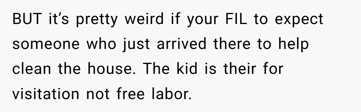 BUT it’s pretty weird if your FIL to expect someone who just arrived there to help clean the house. The kid is their for visitation not free labor.