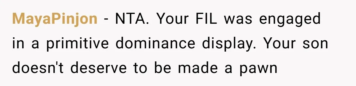 MayaPinjon − NTA. Your FIL was engaged in a primitive dominance display. Your son doesn't deserve to be made a pawn