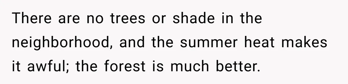 There are no trees or shade in the neighborhood, and the summer heat makes it awful; the forest is much better.