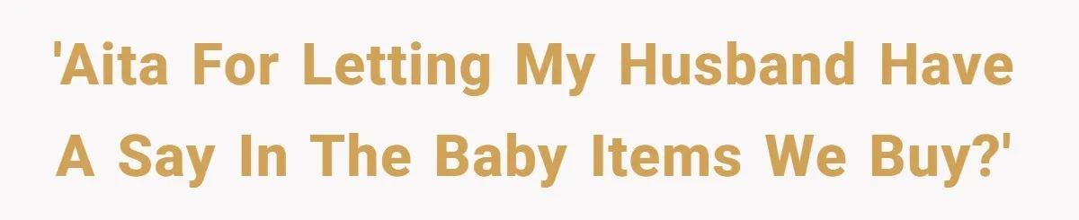 Expectant Parents Allow Husband To Choose Dino Printed Clothes For Baby Girl, Despite Family's Opinion 'AITA for letting my husband have a say in the baby items we buy?'