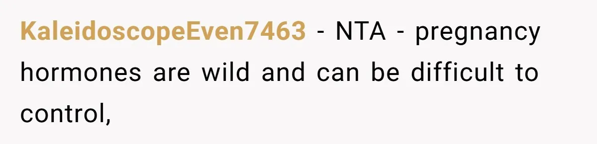 KaleidoscopeEven7463 − NTA - pregnancy hormones are wild and can be difficult to control,