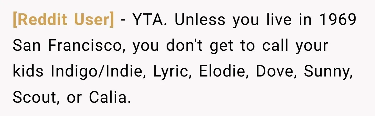 [Reddit User] − YTA. Unless you live in 1969 San Francisco, you don't get to call your kids Indigo/Indie, Lyric, Elodie, Dove, Sunny, Scout, or Calia.