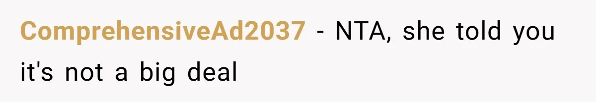 Woman Announces Pregnancy At Sister’s Wedding After Sister Proposed At Hers ComprehensiveAd2037 − NTA, she told you it's not a big deal