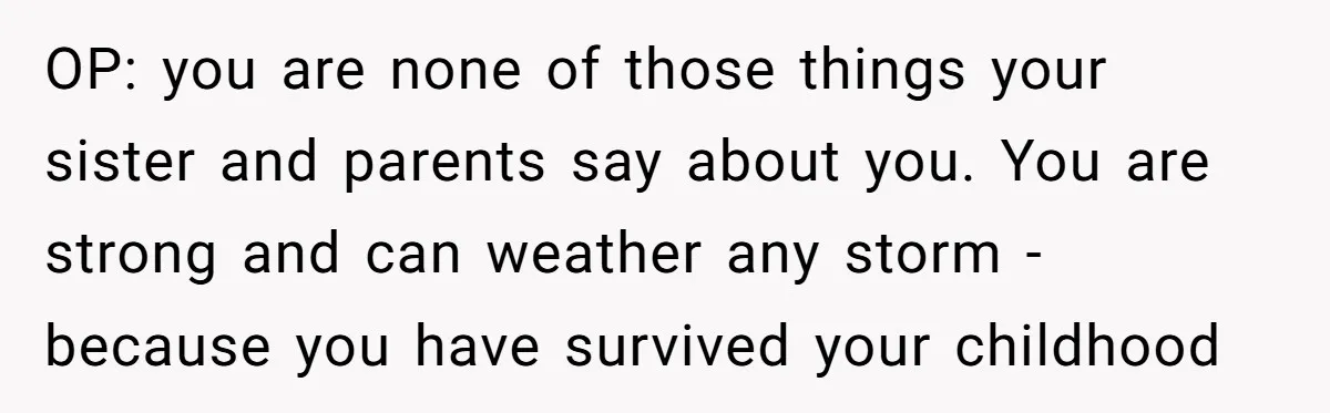 OP: you are none of those things your sister and parents say about you. You are strong and can weather any storm - because you have survived your childhood