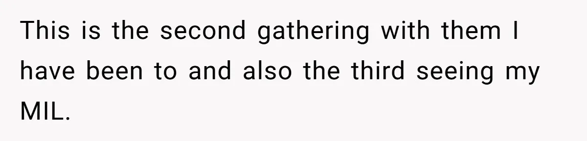 This is the second gathering with them I have been to and also the third seeing my MIL.