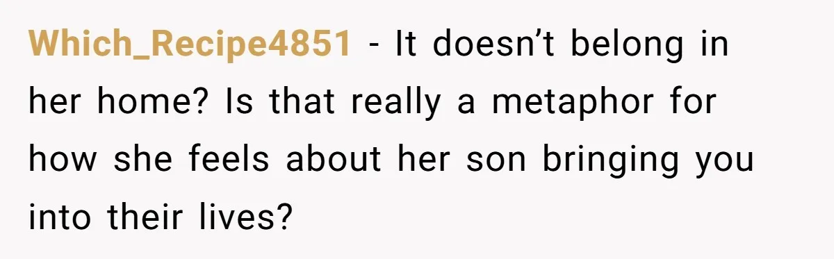 Which_Recipe4851 − It doesn’t belong in her home? Is that really a metaphor for how she feels about her son bringing you into their lives?