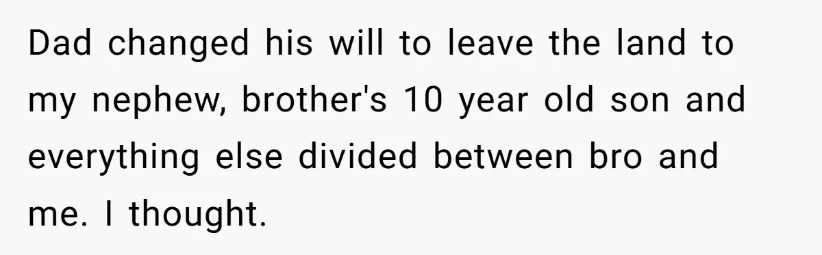 Dad changed his will to leave the land to my nephew, brother's 10 year old son and everything else divided between bro and me. I thought.