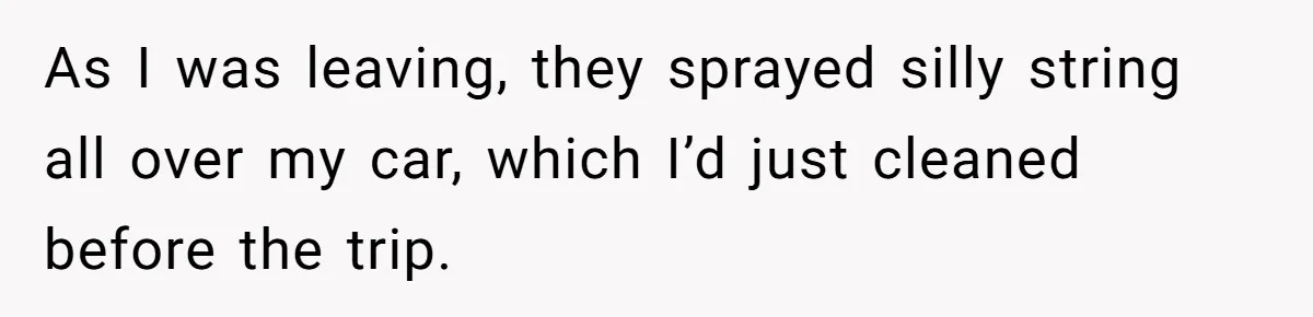 Brother Leaves Newlyweds Stranded On Honeymoon After Endless “Pranks” Cross The Line As I was leaving, they sprayed silly string all over my car, which I’d just cleaned before the trip.