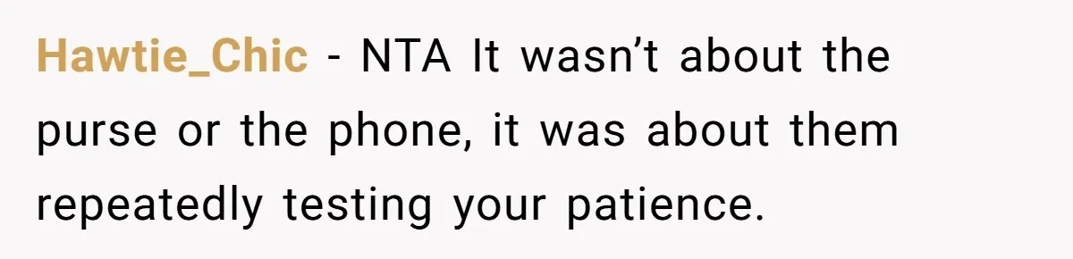 Brother Leaves Newlyweds Stranded On Honeymoon After Endless “Pranks” Cross The Line Hawtie_Chic − NTA It wasn’t about the purse or the phone, it was about them repeatedly testing your patience.