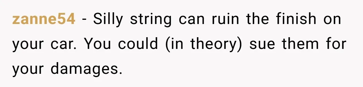Brother Leaves Newlyweds Stranded On Honeymoon After Endless “Pranks” Cross The Line zanne54 − Silly string can ruin the finish on your car. You could (in theory) sue them for your damages.