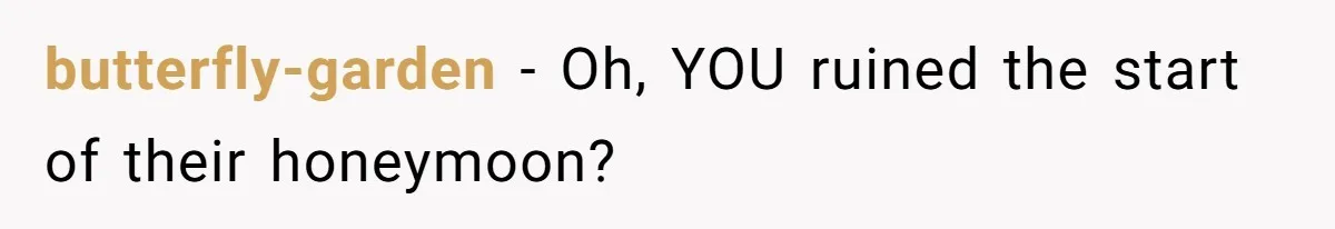 Brother Leaves Newlyweds Stranded On Honeymoon After Endless “Pranks” Cross The Line butterfly-garden − Oh, YOU ruined the start of their honeymoon?
